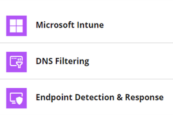 DNS Integration snippet