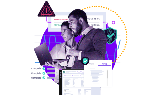 web team