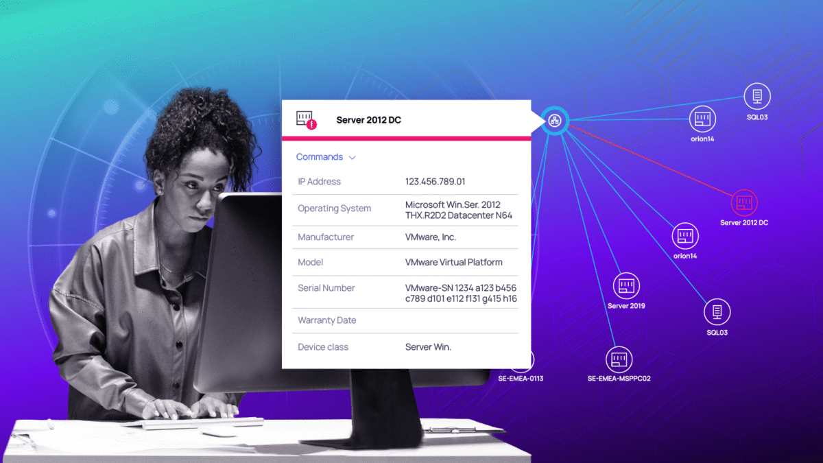 IT interface displaying server details including IP address, operating system, manufacturer, and network diagram connections, representing infrastructure overview