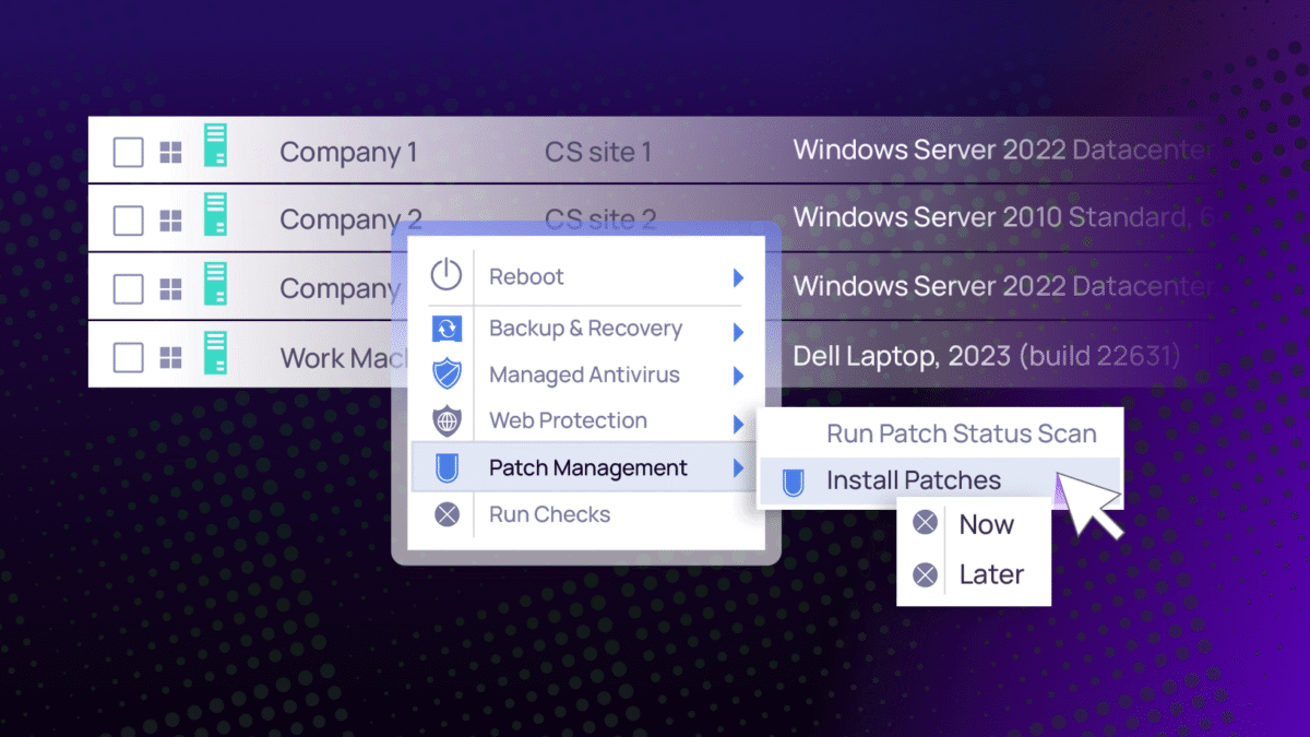 Patch management interface showing options for reboot, backup, antivirus, web protection, and install patches now or later