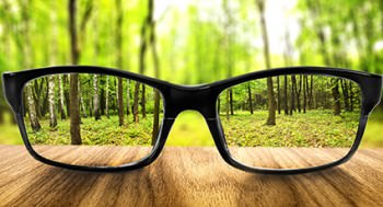shutterstock_164665187